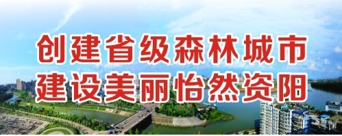 被大鸡艹到爽免费视频下载创建省级森林城市 建设美丽怡然资阳